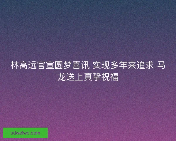 林高远官宣圆梦喜讯 实现多年来追求 马龙送上真挚祝福